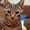 Photo of Qype User (nanabe…)