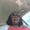 Photo of Karetha R.