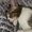 Photo of Ivonne S.