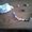 Photo of Ceiling F.