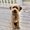 Photo of Shirley S.
