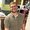 Photo of Trevor L.