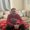 Photo of Danny G.