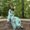 Photo of Zakirah K.