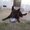 Photo of Your Master Z S.