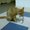 Photo of Laureen T.