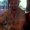 Photo of Nickolas D.