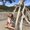 Photo of Makayla L.