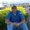 Photo of Shane T.