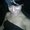 Photo of Natasha Y.