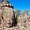Photo of Sand S.