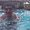 Photo of Walt A.