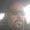 Photo of David G.