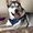 Photo of Jazzy J.