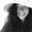 Photo of Daniela E.