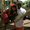 Photo of Efrain C.