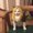 Photo of Cindy P.