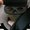 Photo of Seun T.