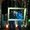 Photo of Lori S.