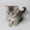 Photo of Kat A.