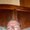 Photo of Tim H.