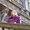 Photo of Steffi S.