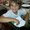 Photo of Gerell M.