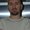 Photo of Adonis C.