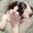 Photo of Elissa S.