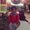 Photo of Steeve D.