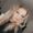 Photo of Nicole S.