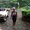 Photo of Melanie G.