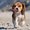 Photo of Qype User (pommes…)