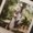 Photo of Kim H.