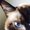 Photo of Sharyn N.