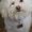 Photo of Cindy L.
