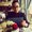 Photo of Hoang T.