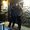 Photo of Tahany A.