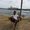 Photo of Rony H.