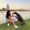 Photo of Monze A.