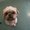 Photo of Louie C.