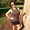 Photo of Katya K.