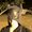 Photo of Andee M.