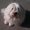 Photo of Max B.