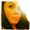 Photo of Marcela A.