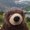 Photo of Udderbear K.