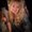 Photo of Sondra D.
