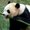 Photo of Nicolle S.