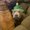 Photo of Shantrice S.