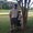 Photo of Mark C.
